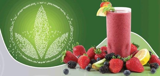 HERBALIFE ���������Ӫ ����� ���̲� ����������� ������л